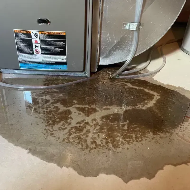 Appliance Leak Cleanup in Bartonville, IL